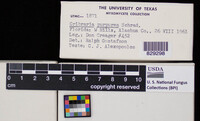 Image Associated With the Occurence
